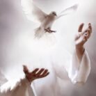 2bc45614f5dac6e845d2a1437124688a